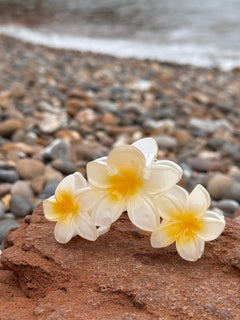 Elsabelle Honolulu Flower Hair Claw Clips