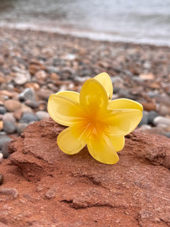 Elsabelle Honolulu Flower Hair Claw Clips