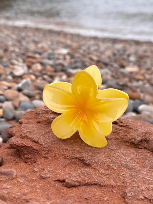 Elsabelle Honolulu Flower Hair Claw Clips