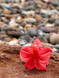 Elsabelle Honolulu Flower Hair Claw Clips