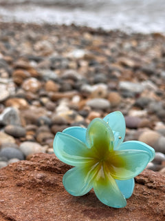 Elsabelle Honolulu Flower Hair Claw Clips