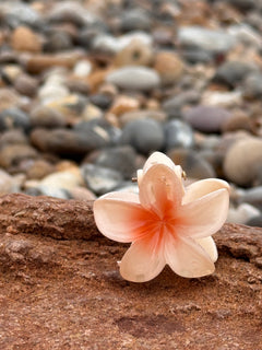 Elsabelle Honolulu Flower Hair Claw Clips