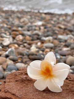 Elsabelle Honolulu Flower Hair Claw Clips