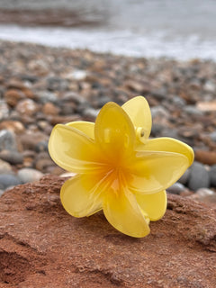 Elsabelle Honolulu Flower Hair Claw Clips