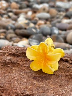 Elsabelle Honolulu Flower Hair Claw Clips