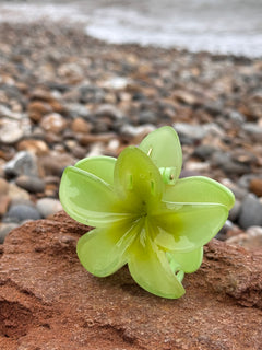 Elsabelle Honolulu Flower Hair Claw Clips