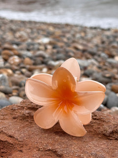 Elsabelle Honolulu Flower Hair Claw Clips