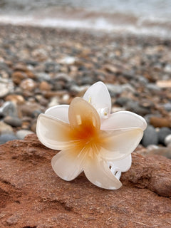 Elsabelle Honolulu Flower Hair Claw Clips